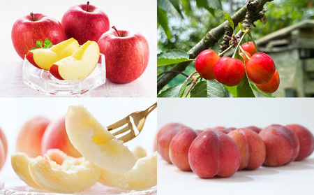 【定期便4回】☆フルーツ王国山形☆『紅秀峰、白桃、すもも、りんご』 FY25-310