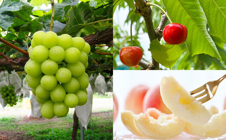 【定期便3回】☆フルーツ王国山形☆『紅秀峰、白桃、シャインマスカット』 FY25-312