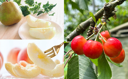 【定期便3回】☆フルーツ王国山形☆『佐藤錦、白桃、ラ・フランス』 FY25-314