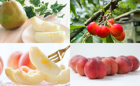 【定期便4回】☆フルーツ王国山形☆『佐藤錦、白桃、すもも、ラ・フランス』 FY25-318