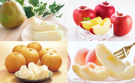 【定期便4回】☆フルーツ王国山形☆『和梨、白桃、ラ・フランス、りんご』 FY25-319