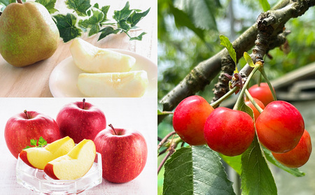 【定期便5回】☆フルーツ王国山形☆『佐藤錦、白桃、すもも、ラ・フランス、りんご』 FY25-321