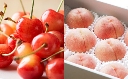 【定期便5回】ノノハナフルーツ 笑顔はなまる満足便 FY25-330