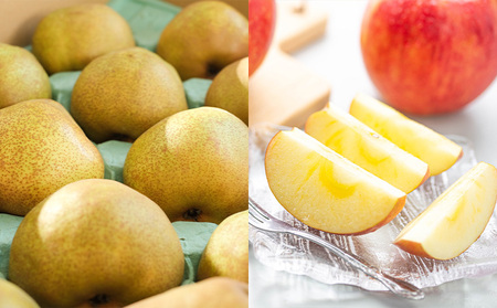 【定期便5回】ノノハナフルーツ 笑顔はなまる満足便 FY25-330