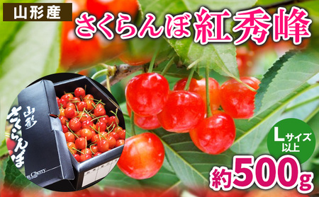 さくらんぼ 紅秀峰 L以上 約500g【令和8年産先行予約】FS25-059