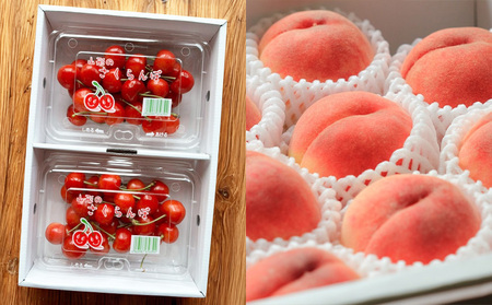 【定期便4回】ノノハナフルーツ 山形市で人気の果物5品種食べきり定期便【令和8年産先行予約】FS25-077