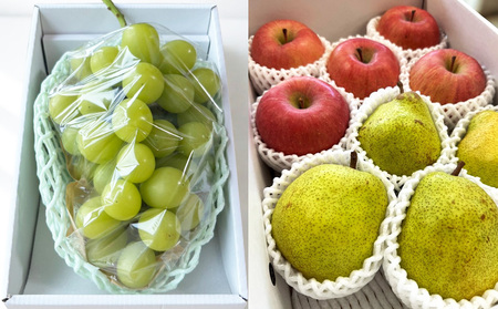 【定期便4回】ノノハナフルーツ 山形市で人気の果物5品種食べきり定期便【令和8年産先行予約】FS25-077