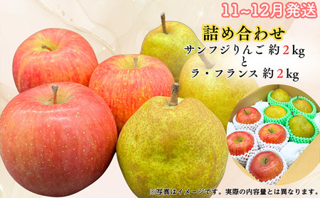【定期便3回】山形果匠【旬のよりどり定期便】A 全3回 1回で2種味わえる楽しみ【令和8年産先行予約】FS25-089
