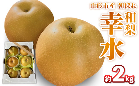 山形市産朝採れ【和梨(幸水)】 6～7玉 約2kg【令和8年産先行予約】FS25-093