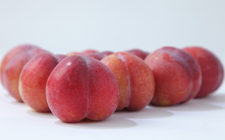 ★フルーツ王国山形★山形プラム(秋姫)1.2kg すもも【令和8年産先行予約】FS25-097