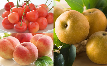 【定期便5回】好きですやまがた!初夏から始まる果実のおもてなし 5選【令和8年産先行予約】FS25-100