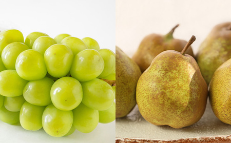 【定期便5回】好きですやまがた!初夏から始まる果実のおもてなし 5選【令和8年産先行予約】FS25-100