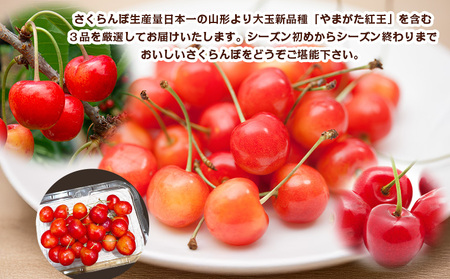 【定期便3回】数量限定!山形さくらんぼ厳選3品味めぐり【令和8年産先行予約】FS25-102