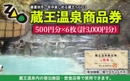 FY19-528 蔵王温泉商品券 3,000分(500円×6枚)