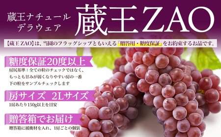 【蔵王 ZAO】蔵王ナチュールデラウェア 山形のデラウエア TAKUMI ORCHARD 99% 贈答 2L以上 糖度保証 約2kg 山形 山形県 山形市 フルーツ 果物 くだもの 送料無料 ぶどう 葡萄 ブドウ デラウェア 減農薬【令和8年産先行予約】FS25-116