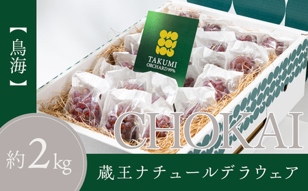 【鳥海 CHOKAI】蔵王ナチュールデラウェア 山形のデラウエア TAKUMI ORCHARD 99% ご家庭 M以上房サイズ混合 約2kg 山形 山形県 山形市 フルーツ 果物 くだもの 送料無料 ぶどう 葡萄 ブドウ デラウェア 減農薬【令和8年産先行予約】FS25-120