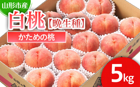 山形市産 白桃 【晩成種】「伊達白桃・白根白桃・さくら白桃」かための桃5kg 12～18玉【令和8年産先行予約】FS25-129