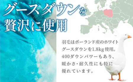 ASG SKY (KAKE)＋(SHIKI)セット[別送] FY25-364