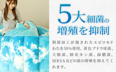 ASG SKY (KAKE)＋(SHIKI)セット[別送] FY25-364