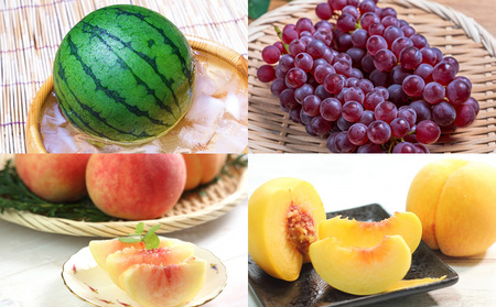 【定期便8回】フルーツちょこっと【令和8年産先行予約】FS25-137