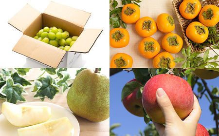 【定期便8回】フルーツちょこっと【令和8年産先行予約】FS25-137