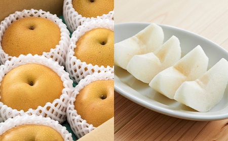 【定期便2回】やまがたの和梨＆洋梨どちらも堪能便【令和8年産先行予約】FS25-138