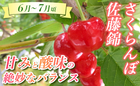 【定期便3回】☆んま~い山形☆山形フルーツ売れ筋3種定期便(さくらんぼ佐藤錦/白桃/シャインマスカット) FY25-474