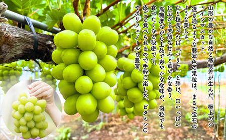 みちのく果実帖 シャインマスカット3房 約1.9kg 【令和8年産先行予約】FS25-151