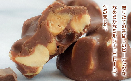 【でん六】ピーナッツチョコ 40g FY25-501