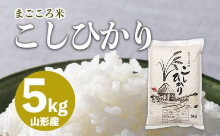まごころ米こしひかり 5kg FZ20-783