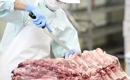 山形牛の競演　山形牛一頭盛り焼肉用3人前 お肉博士がオススメする特選7種盛り FY20-790