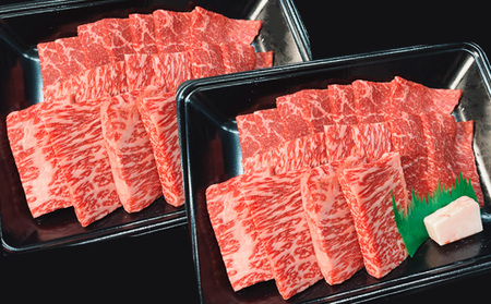 山形牛 メス牛 霜降りカルビ 800g(400g×2) FZ21-189