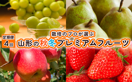 【定期便4回】栽培のプロが選ぶ山形の秋冬プレミアムフルーツ【令和8年産先行予約】FU21-946 くだもの 果物 フルーツ 山形 山形県 山形市 2026年産