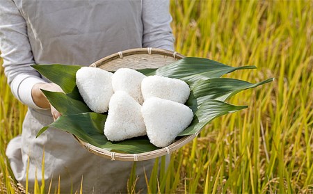 定期便3回】山形産 はえぬき 5kg×3ヶ月(計15kg) FZ21-329 | 山形県山形