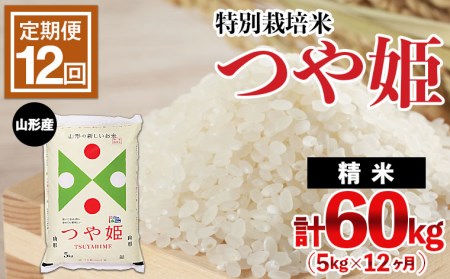【定期便12回】山形産 特別栽培米 つや姫 5kg×12ヶ月(計60kg) FZ21-330