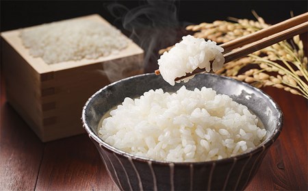 山形の米食べ比べセット 特別栽培米 つや姫(5kg)＆雪若丸(5kg) FZ21-337
