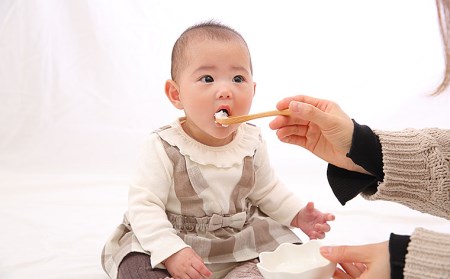 太陽と月のひかり☆通常セット6パック☆(山形県産ベビーフード、農薬・化学肥料・保存料不使用)【9ヶ月頃から】 FZ21-394