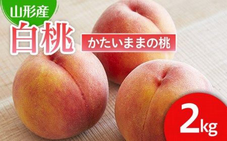 硬い食感が人気！山形産パリパリの硬い桃 約2kg【令和8年産先行予約】FU21-078 くだもの 果物 フルーツ 山形 山形県 山形市 2026年産