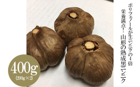 FY18-406 栄養満点! 山形の熟成黒ニンニク 400g (200g×2)