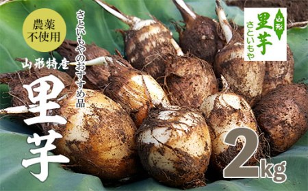 FY18-098 農薬不使用 山形特産自社栽培土付里芋2kg!(さといもやのおすすめ品)