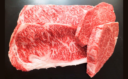 山形牛ヒレ･ロースステーキセット (2種) 500g FZ18-480