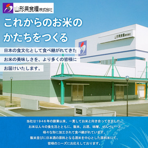 【令和7年産】山形産 無洗米キューブ米つや姫300g×40個 FZ25-896