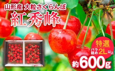 】山形産 大粒さくらんぼ 紅秀峰 特選 バラ詰め 2L以上 約600g 【令和6年産先行予約】FU21-806