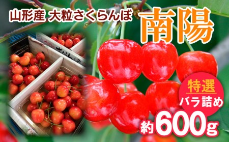 山形産 大粒さくらんぼ 南陽 特選 バラ詰め 約600g 【令和8年産先行予約】FS25-712 くだもの 果物 フルーツ 山形 山形県 山形市 2026年産