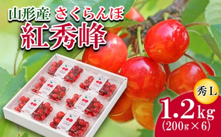 FS21-816 さくらんぼ 紅秀峰 秀L 1.2kg(200g×6)
