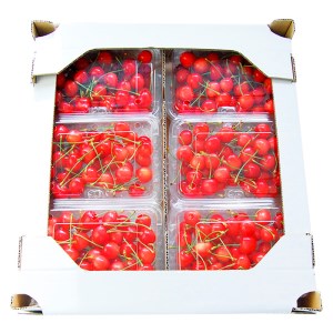 山形のさくらんぼ 佐藤錦 1080g (180g×6パック) Lサイズ以上 【令和8年産先行予約】FS25-514