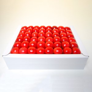 山形のさくらんぼ 佐藤錦 鏡詰め 500g Lサイズ以上 【令和8年産先行予約】FS25-512