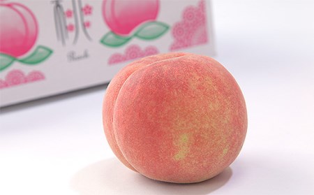 山形の桃(硬い品種)3kg(6～12玉) 【令和8年産先行予約】FU21-629