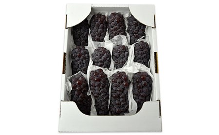 山形のぶどう デラウエア 約2kg(L～3L/10～16房)【令和8年産先行予約】FS24-569 くだもの 果物 フルーツ 山形 山形県 山形市 2026年産