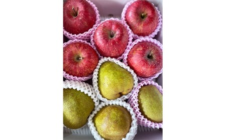 山形ラ・フランスとりんごのセット 秀品 約3kg【令和8年産先行予約】FS22-131